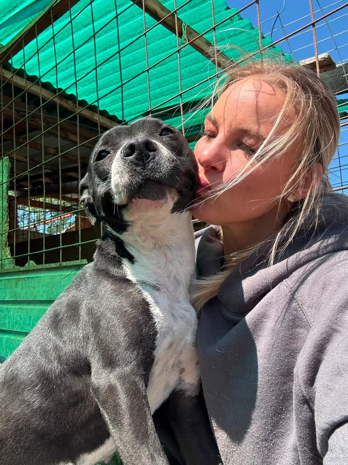 Loumi, female young Mixed Breed for adoption at Hope for Future e.V.