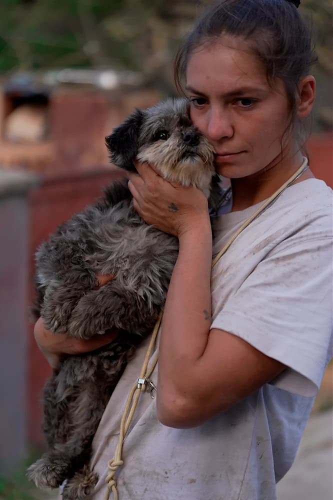 Rosalie, female senior Mixed Breed for adoption at Hope for Future e.V.