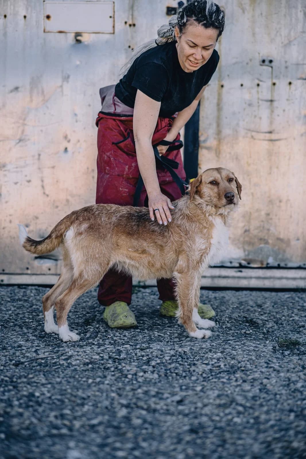 Prinzessa, female Mixed Breed for adoption at Hundeherz Russland e.V.