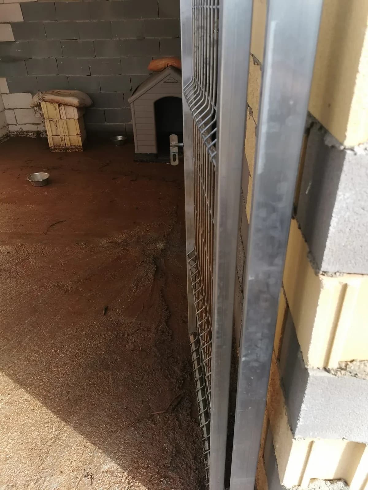 Tierschutz auch von Unwetterschäden betroffen, Mixed Breed for adoption at Hundehilfe Deutschland e.V.