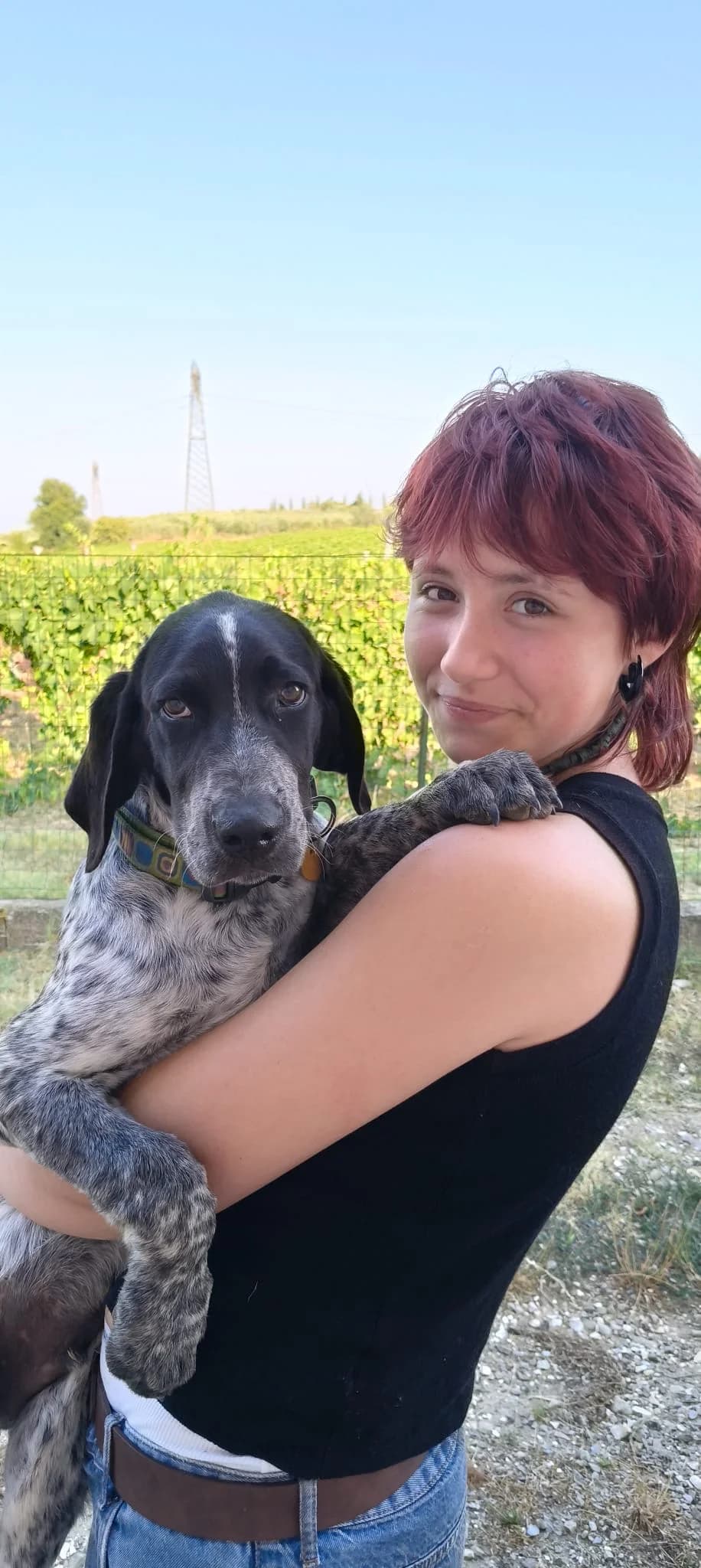 Timoteo, male puppy Mixed Breed for adoption at Hundehilfe Mariechen, Stadtsteinach