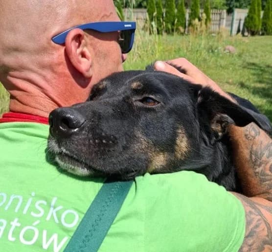 Unknown, male puppy Mixed Breed for adoption at Hundehilfe Polen, Dierkshausen