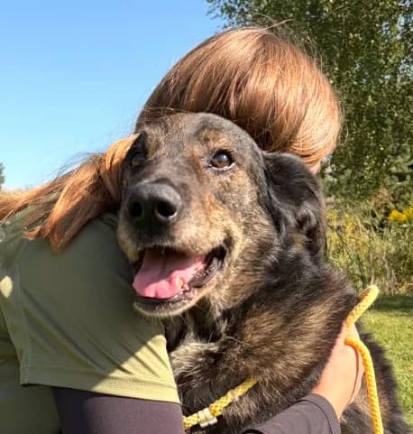 Unknown, male puppy Mixed Breed for adoption at Hundehilfe Polen, Dierkshausen