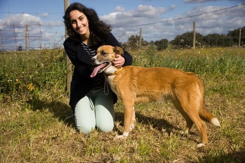 Milu, female senior Mixed Breed for adoption at Hundehilfe Portugal, Speyer