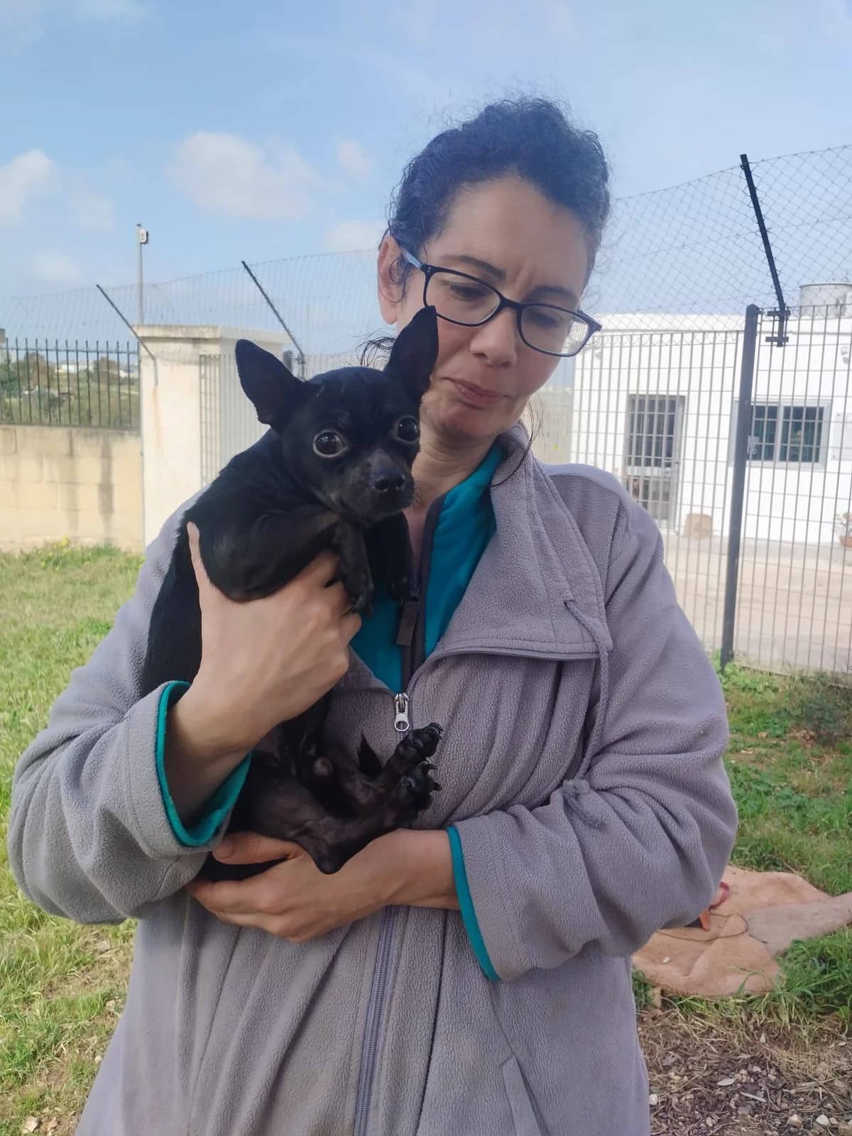 Kaja, female puppy Labrador Retriever for adoption at Hundehoffnung-Berlin