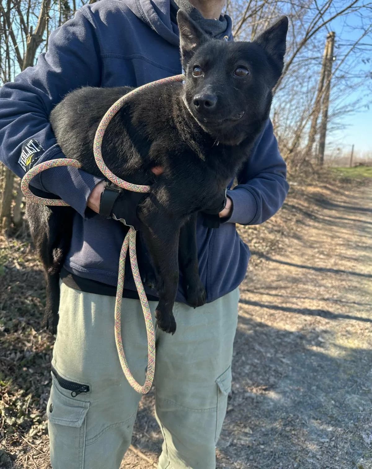 👉Zurück, female puppy Mixed Breed for adoption at Hundepfoten Steinfurt e.V., Nordwalde