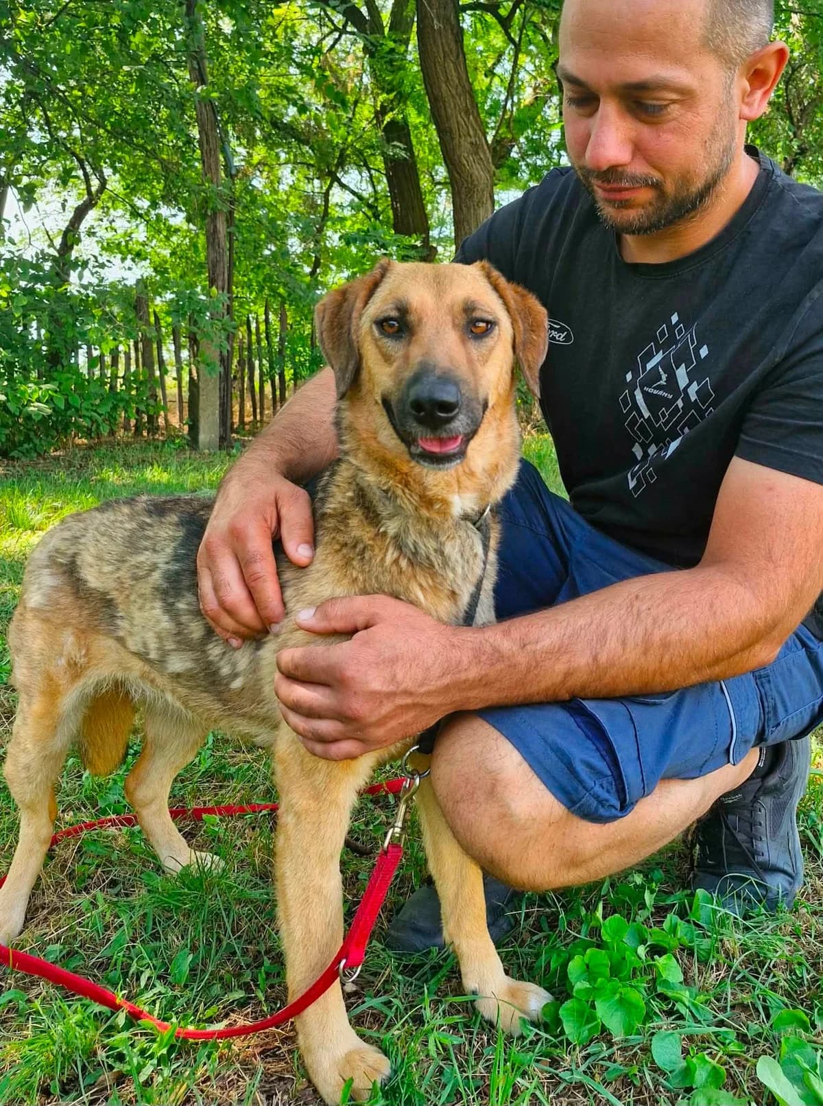 Serafina T, female young Mixed Breed for adoption at Hundepfoten Steinfurt e.V., Nordwalde