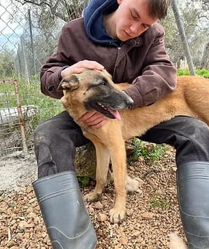 MOON, female young Mixed Breed for adoption at Hundeschnauzen In Not E.v.