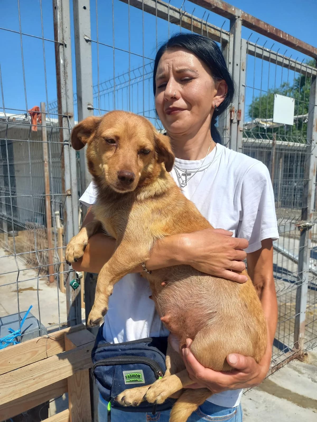 Gräfin Schnuffel, female 4yo Mixed Breed for adoption at Tierschutzverein Labus Family e.V.