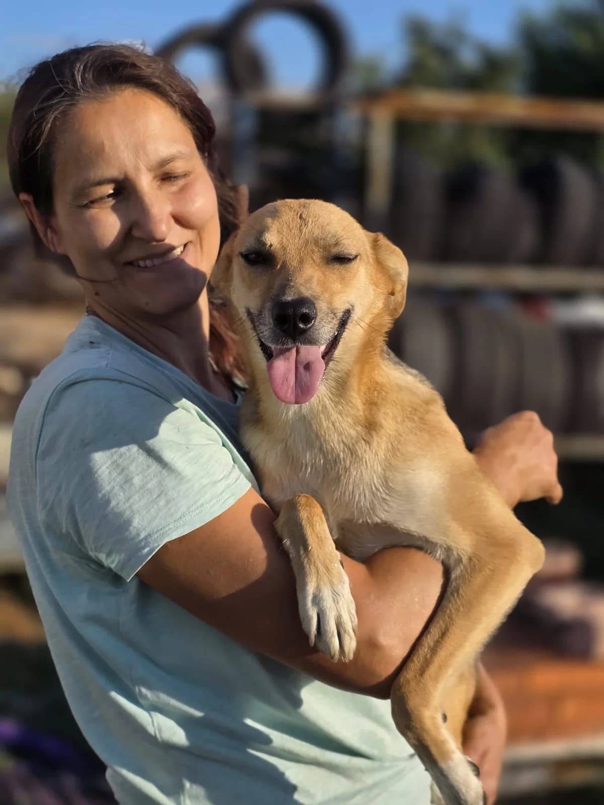 Nikita, female young Mixed Breed for adoption at Tierschutzverein Labus Family e.V.