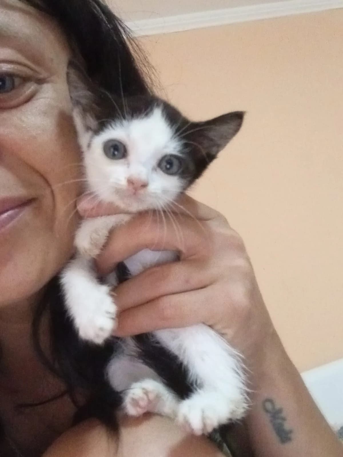 Nimaya, female puppy Mixed Breed for adoption at Tierschutzverein Labus Family e.V.
