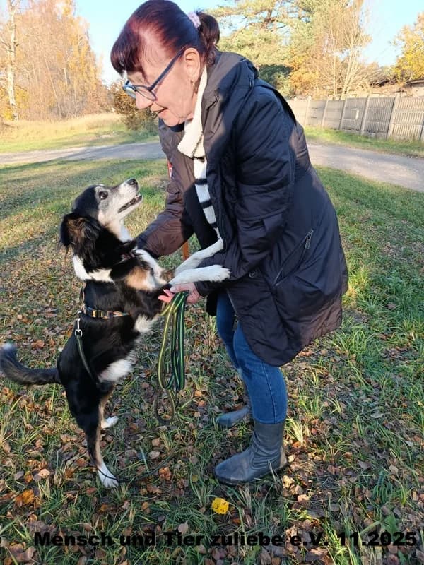 Anton, male Mixed Breed for adoption at Mensch und Tier Zuliebe e.V.