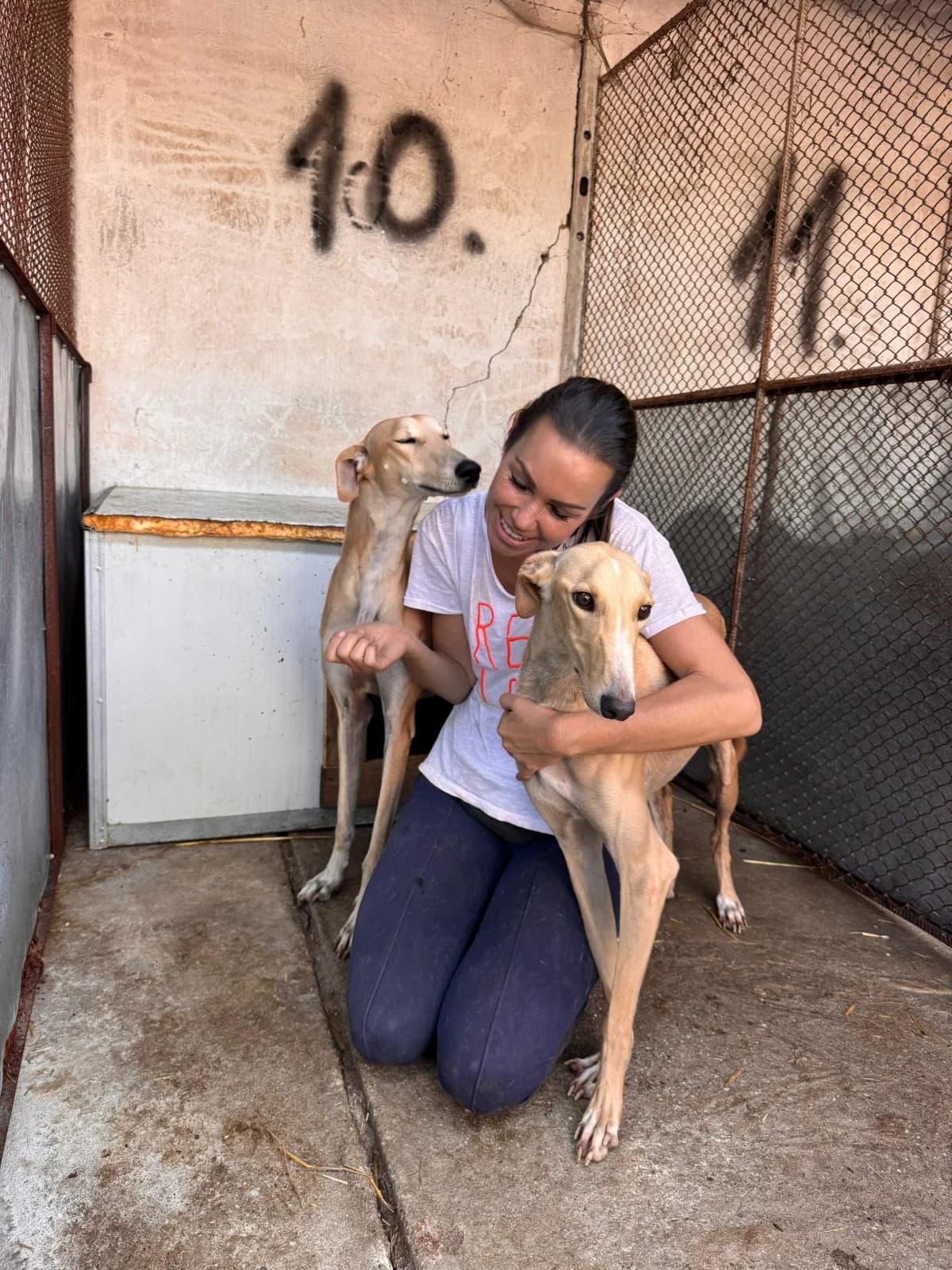 Lucio, male 3yo Mixed Breed for adoption at NaTiNo e.V.