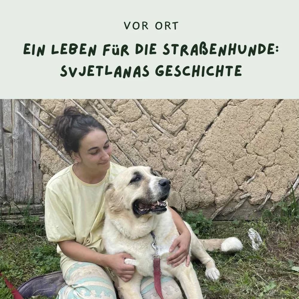 Ein Leben für die Straßenhunde, female senior Mixed Breed for adoption at Nordic Strays e.V.