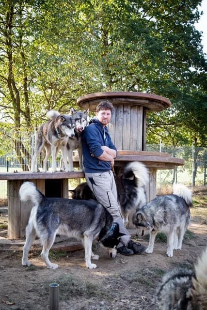 Es geschehen doch noch Wunder!, Mixed Breed for adoption at Nordische in Not, Kremmen / OT Hohenbruch