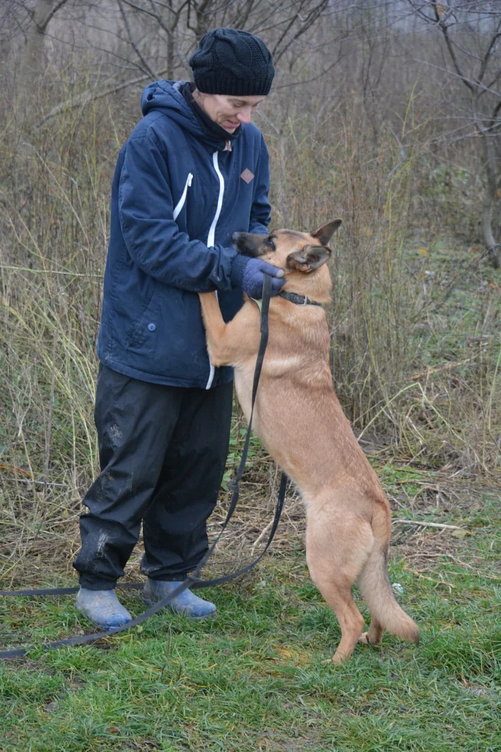 Gina, female Mixed Breed for adoption at Pföttchenretter mit Herz e.V., Leichlingen