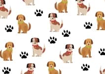 Weitere Hunde?, Mixed Breed for adoption at Pfotenhelfer e.V.