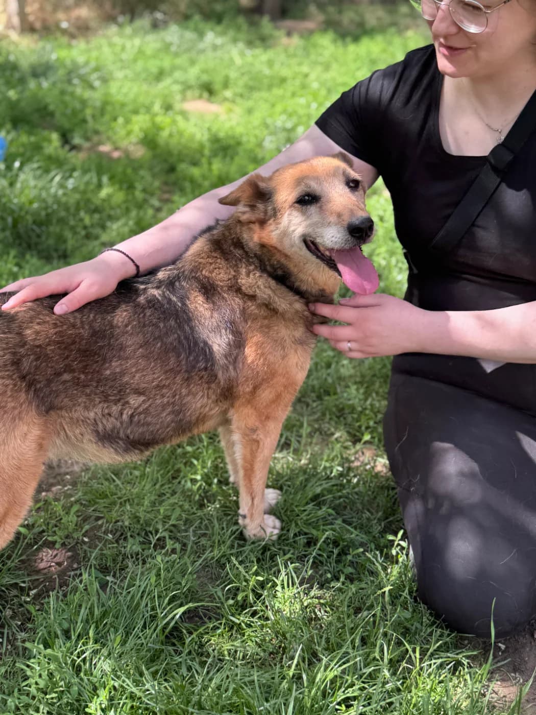 Holli, female senior Mixed Breed for adoption at Pfotenhilfe Sauerland e.V., Marsberg