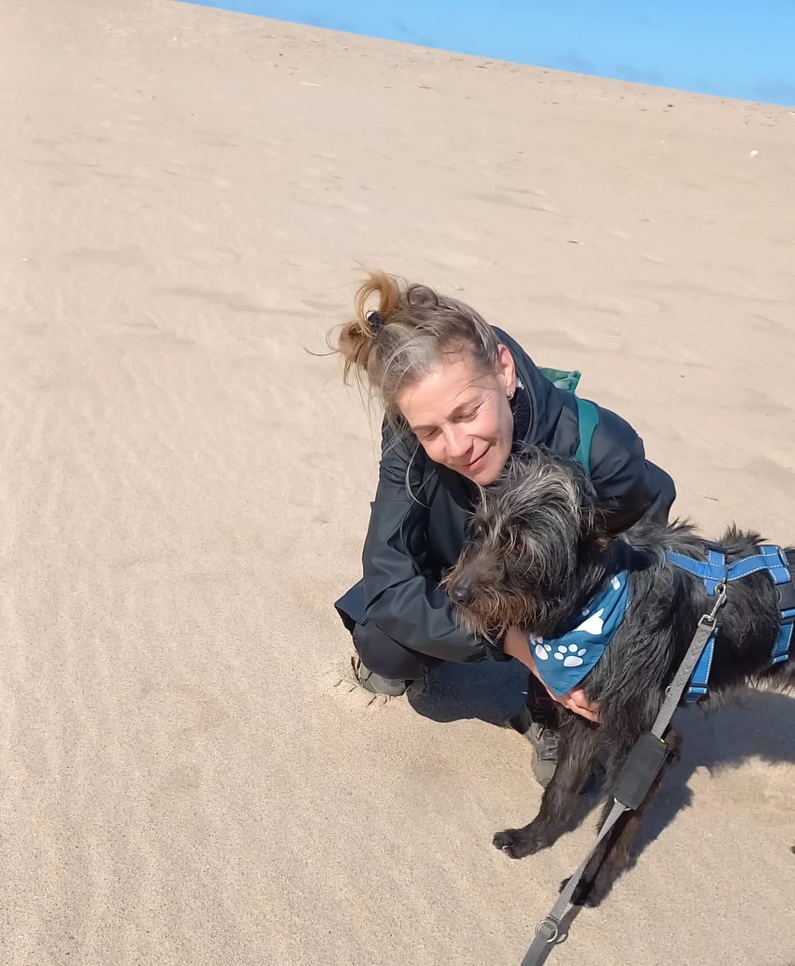 Scooby in Portugal, male 3yo Mixed Breed for adoption at Pro Dog International e.V., Talkau