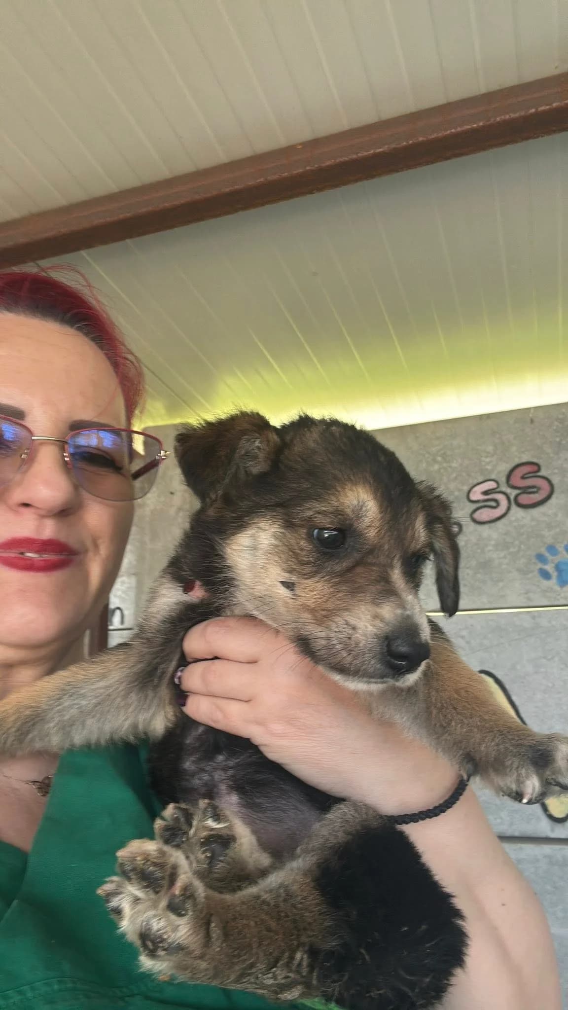 Anais, female young Mixed Breed for adoption at Rescued Souls e.V., Pfinztal