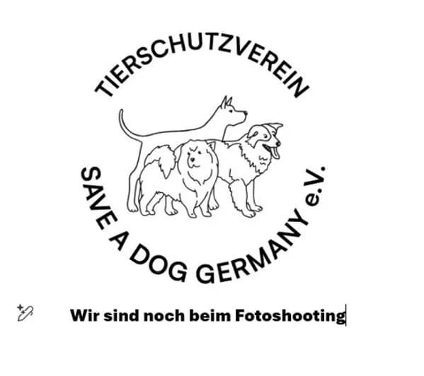 Hund, Mixed Breed for adoption at Save a Dog e.V.