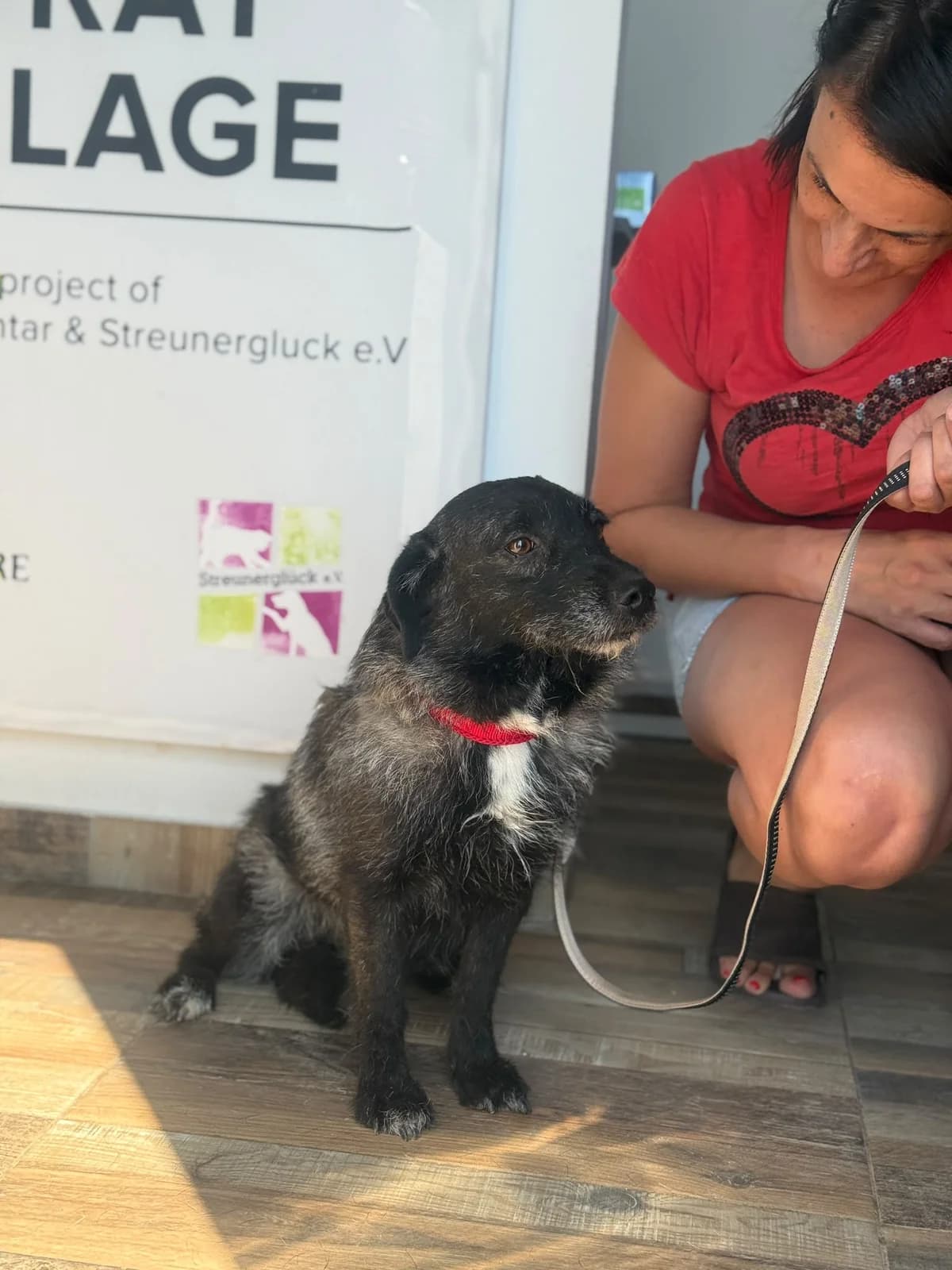 Dora, female puppy Mixed Breed for adoption at Streunerglück e.V., München