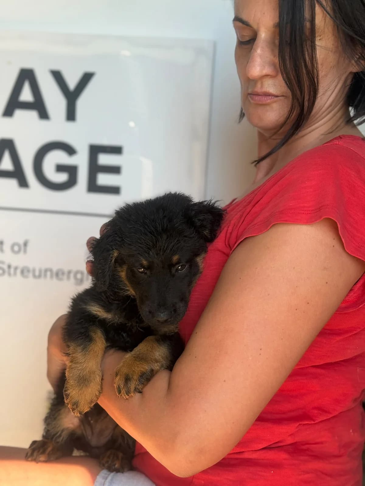 Suri, female puppy Mixed Breed for adoption at Streunerglück e.V., München