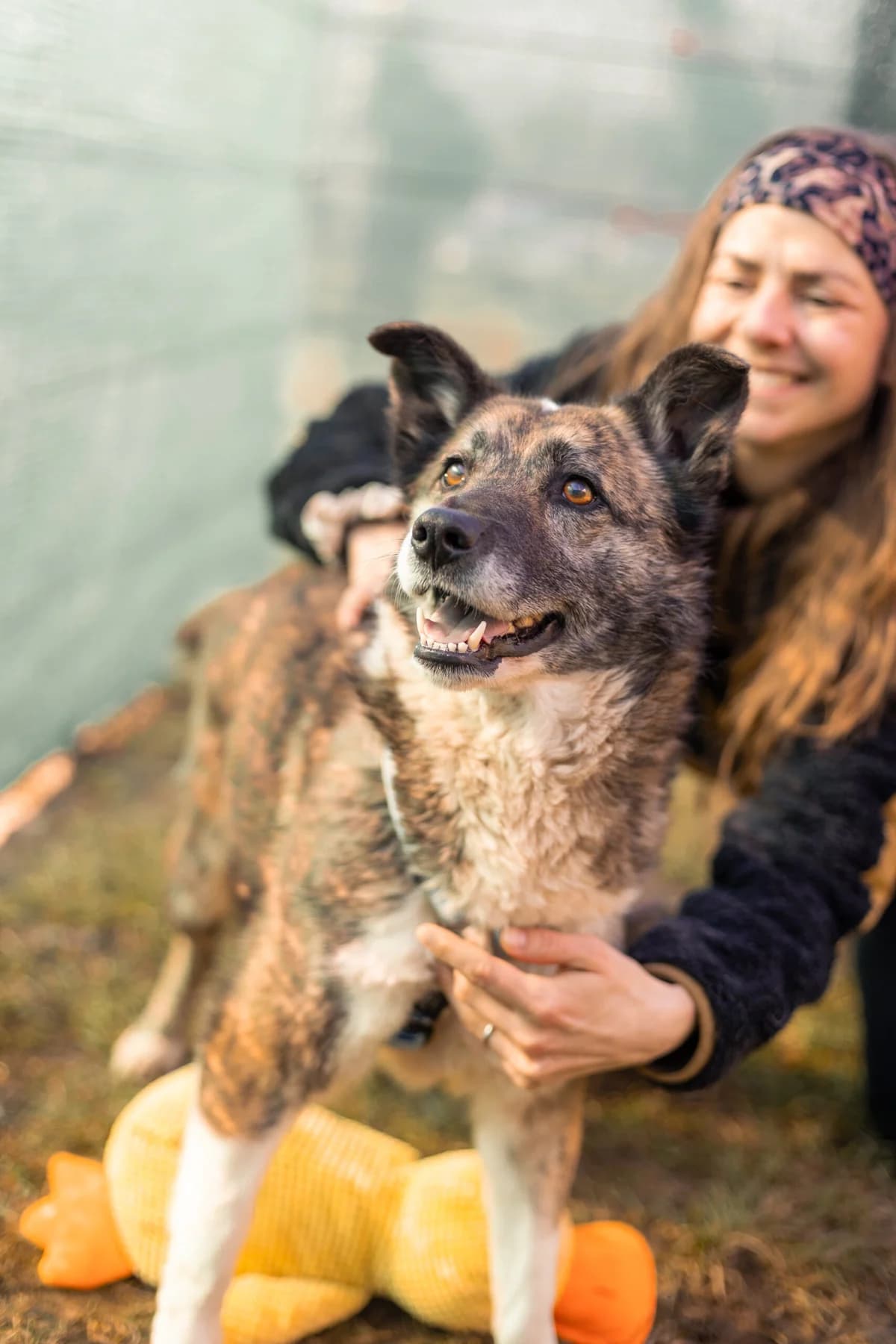 Suzi, female 6yo Mixed Breed for adoption at Thats Pets Rescue e.V.