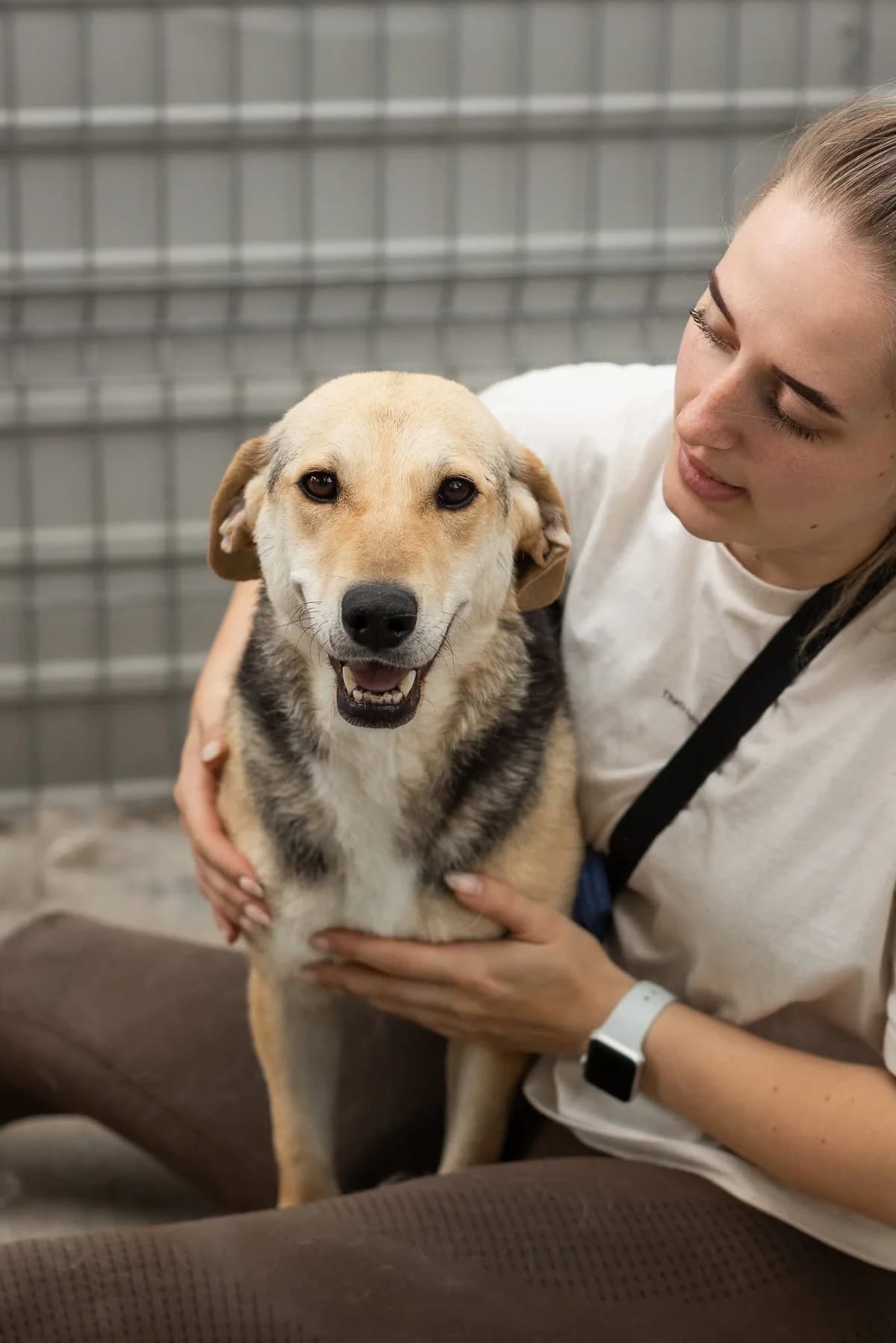 Bella, female 6yo Mixed Breed for adoption at Thats Pets Rescue e.V.