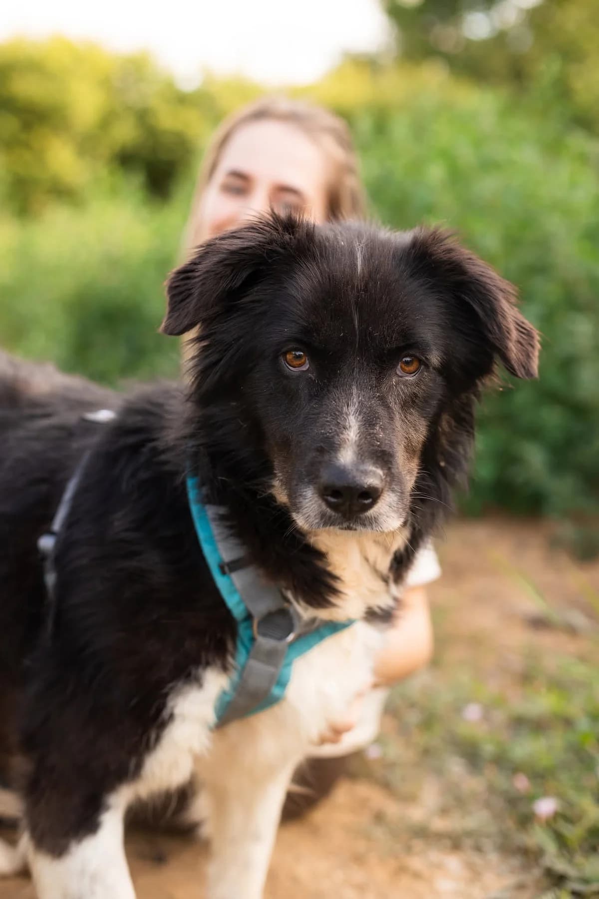 Lucia, female Mixed Breed for adoption at Thats Pets Rescue e.V.