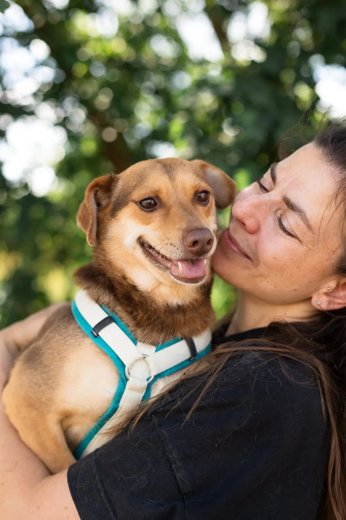 Sissy, female 6yo Mixed Breed for adoption at Thats Pets Rescue e.V.