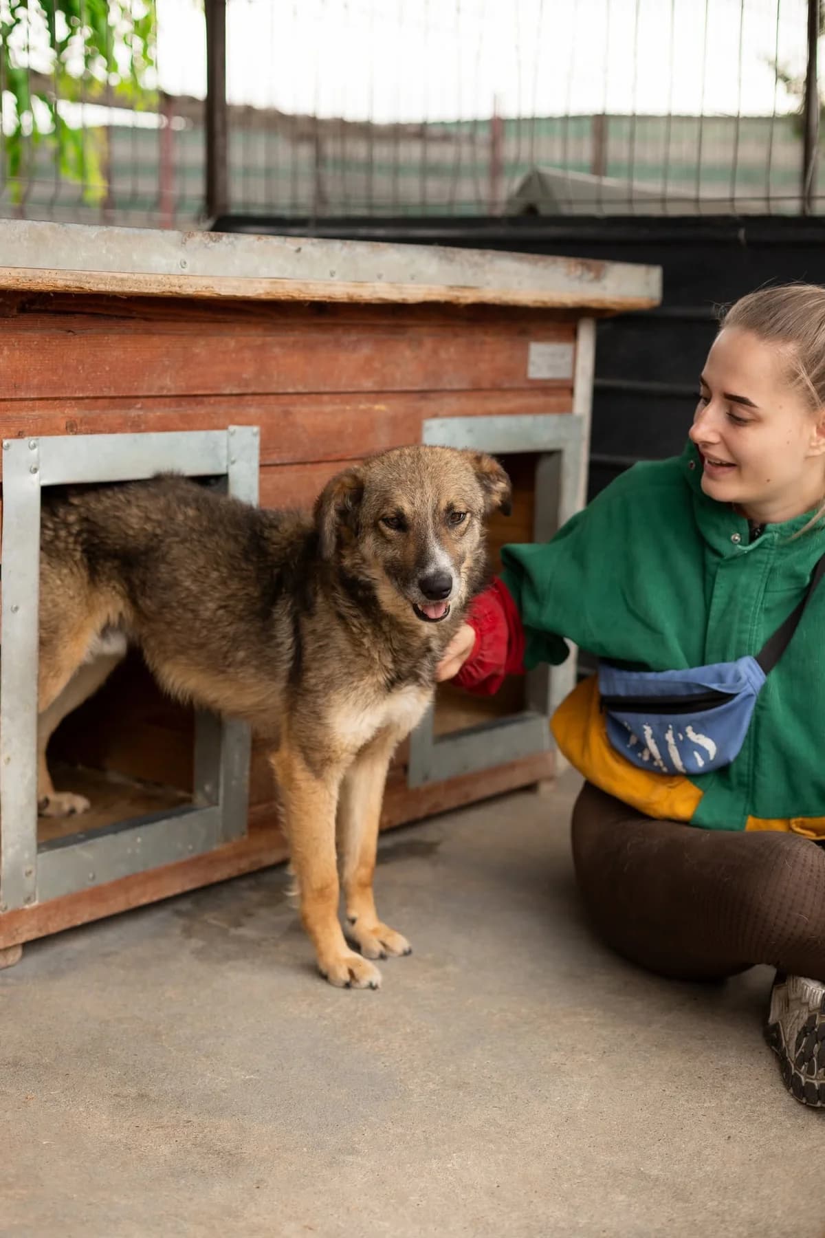 Omar, male 6yo Mixed Breed for adoption at Thats Pets Rescue e.V.