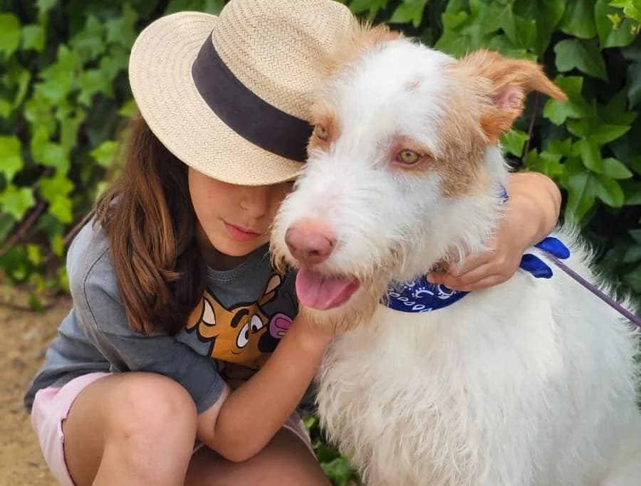 KAIRI, female 5yo Mixed Breed for adoption at Tier-Not-Hilfe