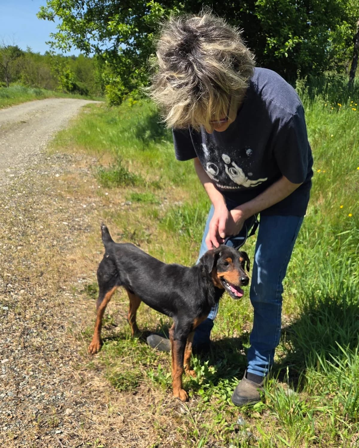 Rico, male 5yo Mixed Breed for adoption at Tierfairliebt e.V., Berlin