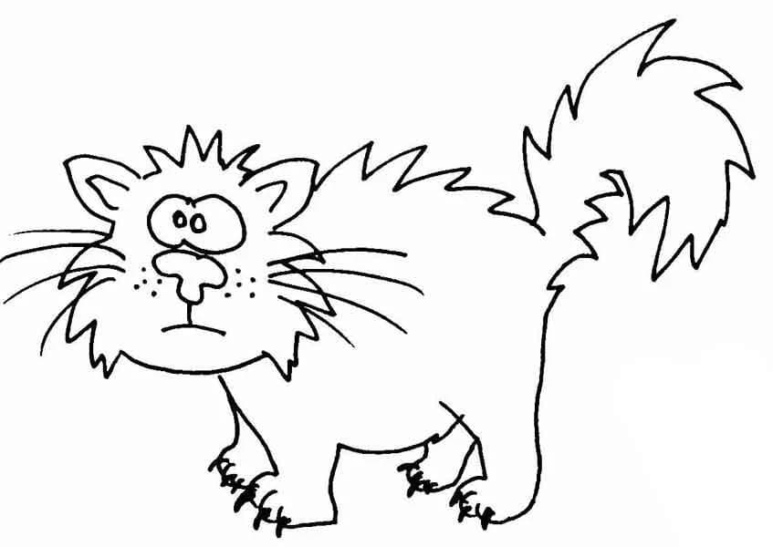 * Streunerkatzen /aus D, male Mixed Breed Cat for adoption at Tierfreunde im Fläming e.V.