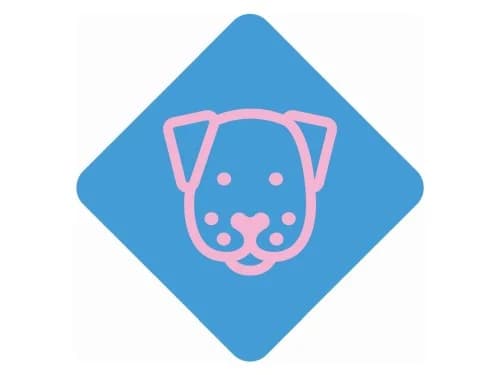 Weitere Hunde, Mixed Breed for adoption at Tierheim Detmold, Detmold