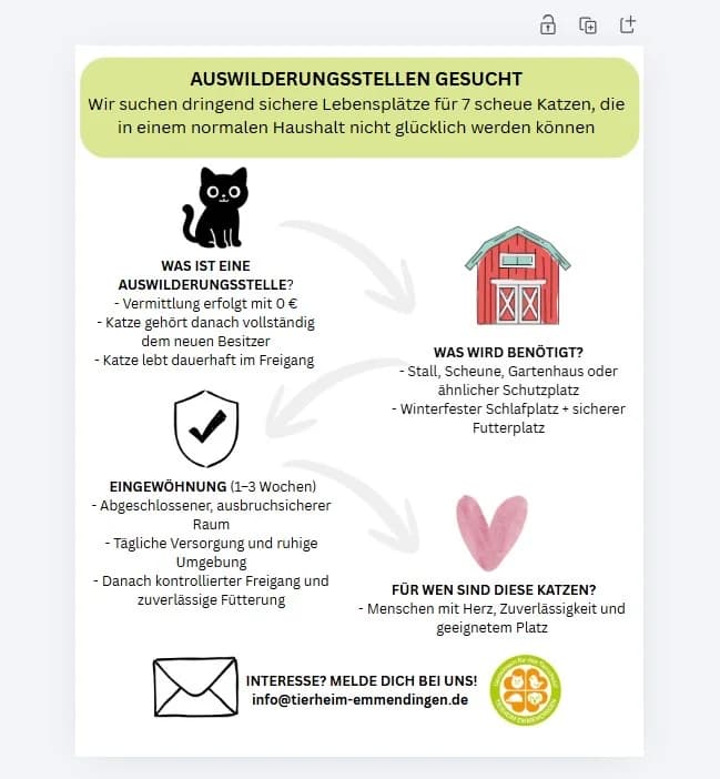Freiheit verbindet – Zuhause für besondere Katzen gesucht, Mixed Breed for adoption at Tierheim Emmendingen, Emmendingen