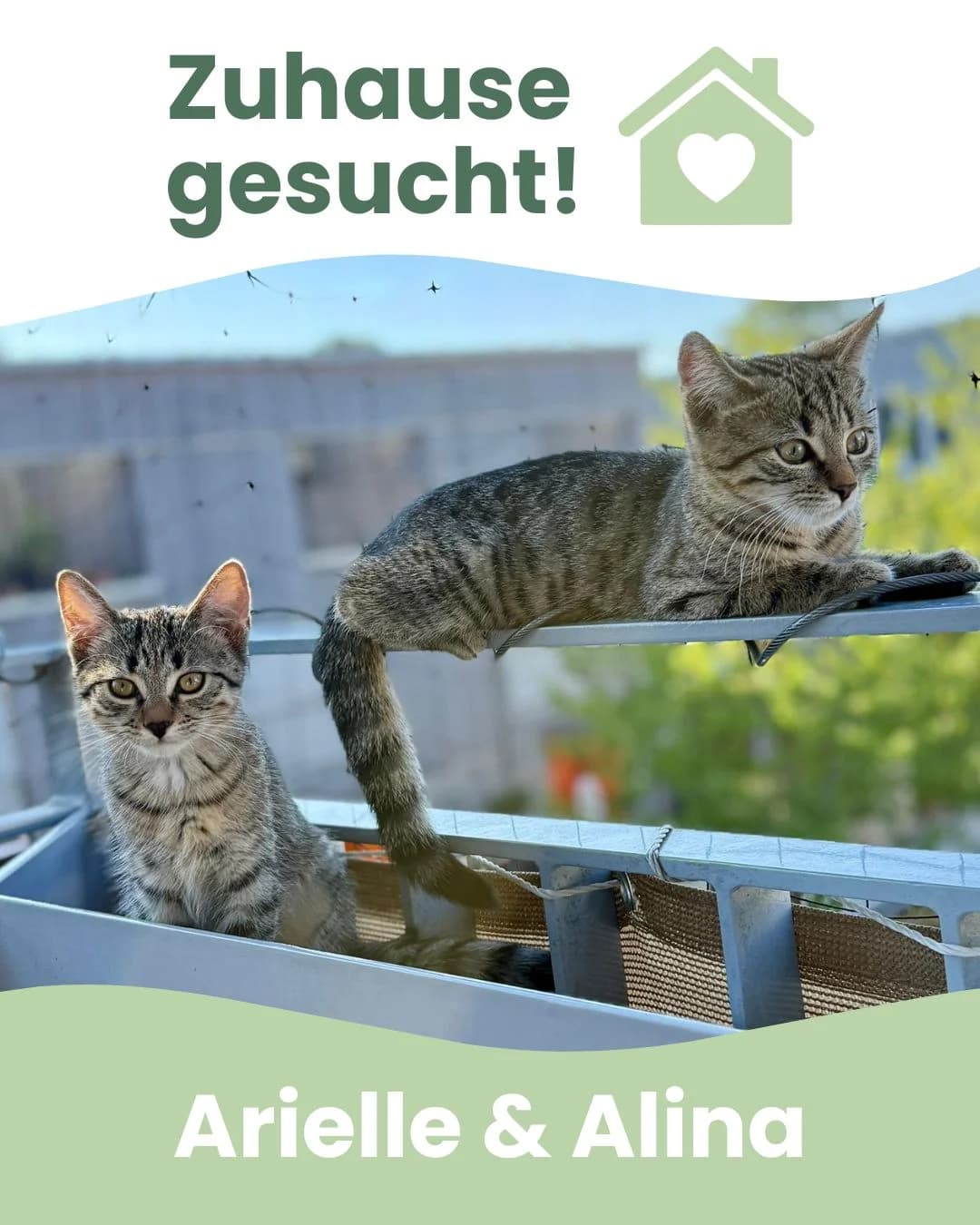 Arielle & Alina, female Mixed Breed for adoption at Tierheim Landkreis Freising