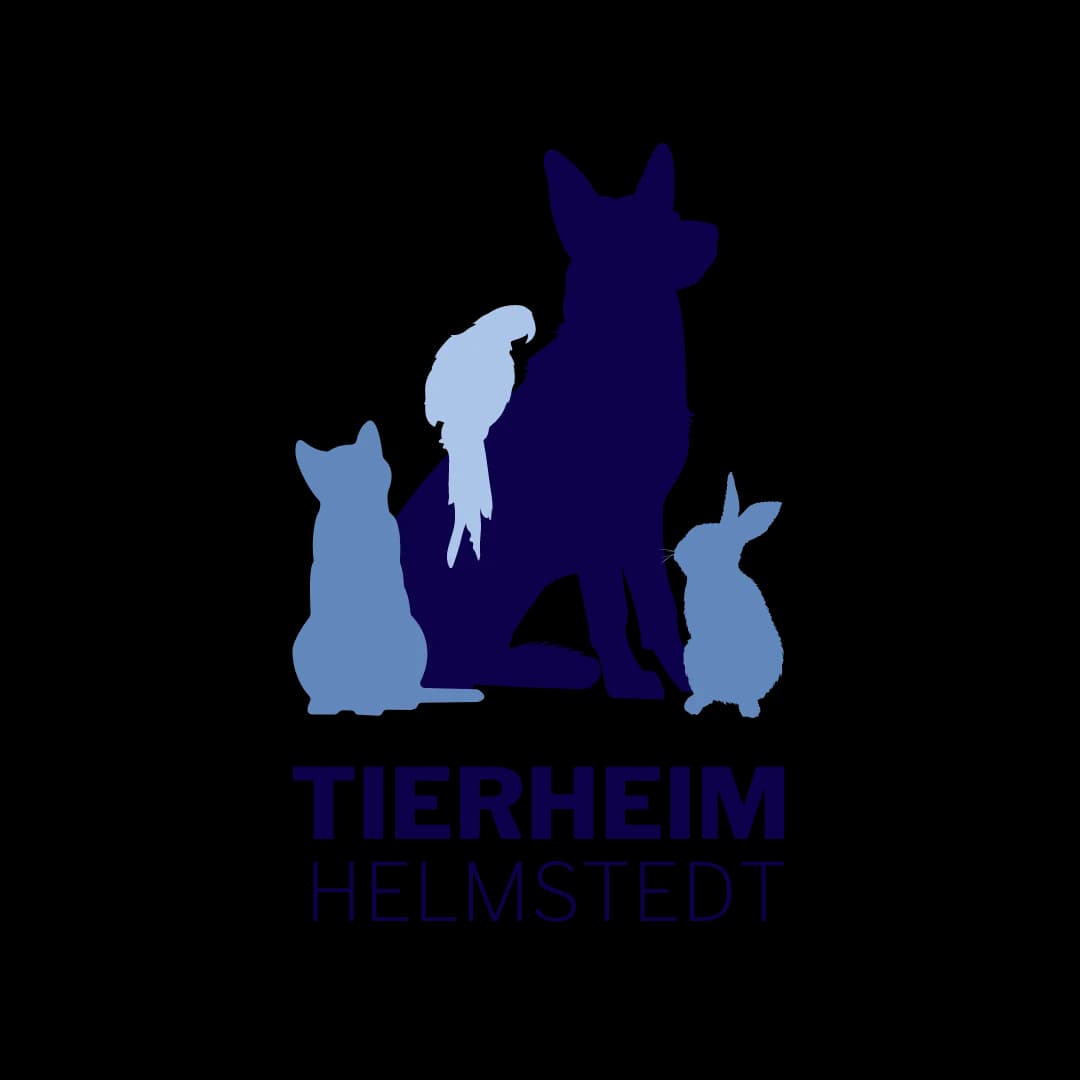 Scharik, male Mixed Breed for adoption at Tierheim Helmstedt