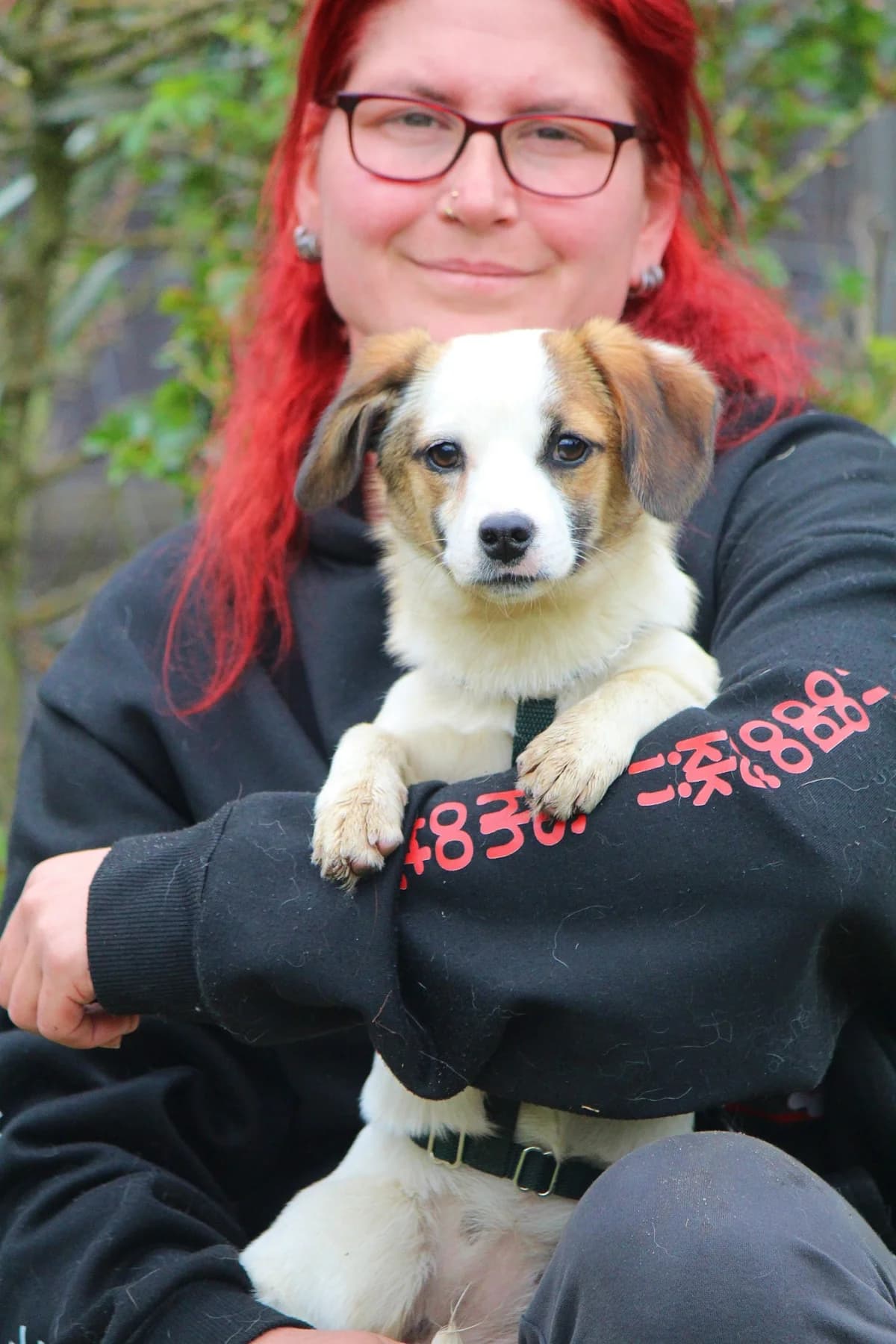 Angel, female puppy Mixed Breed for adoption at Tierheim Herzsprung