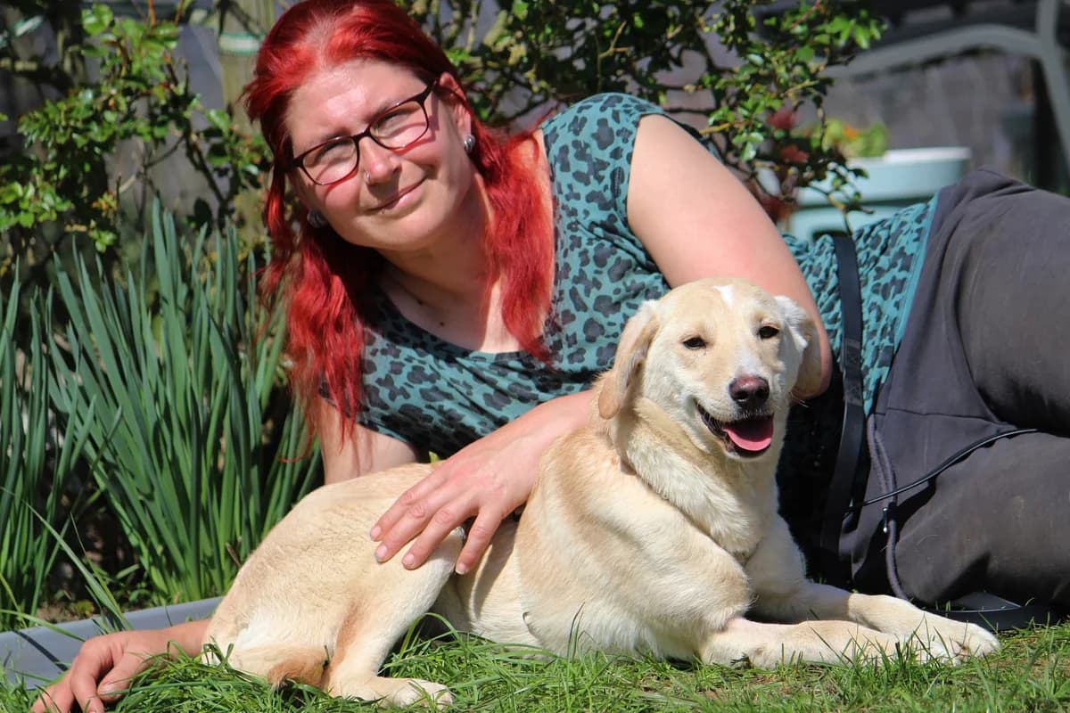 Lieschen, female puppy Mixed Breed for adoption at Tierheim Herzsprung