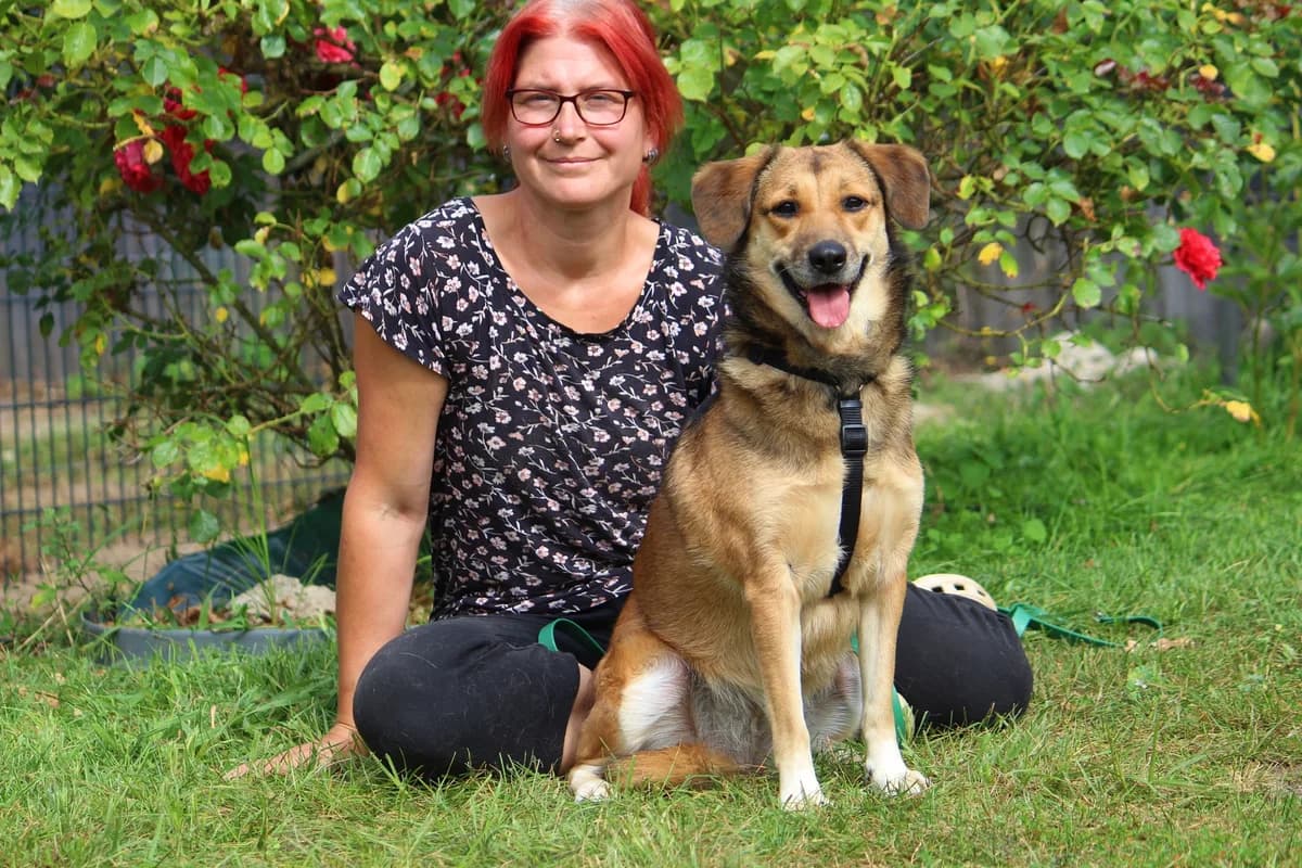 Maya, female 3yo Mixed Breed for adoption at Tierheim Herzsprung