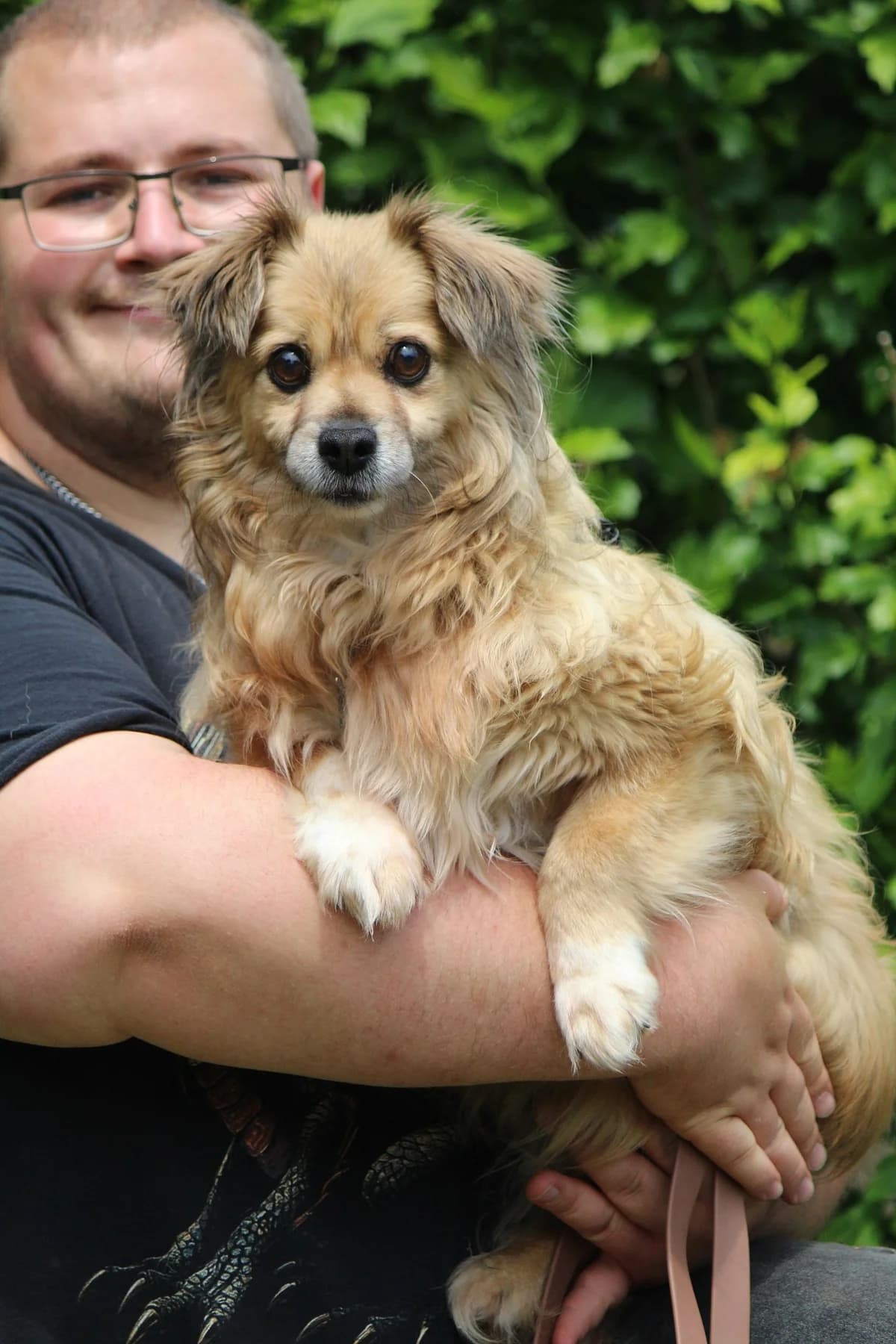 Rosalie, weiß female senior Mixed Breed for adoption at Tierheim Herzsprung