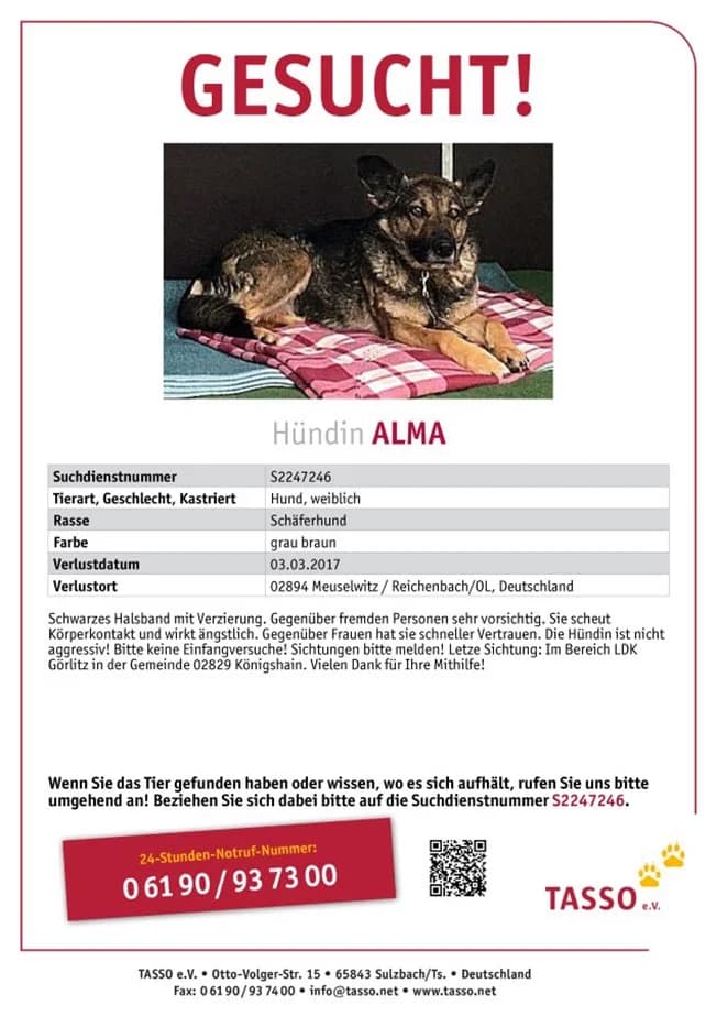 Alma wird vermisst, female Mixed Breed for adoption at Tierheim Horka, Horka