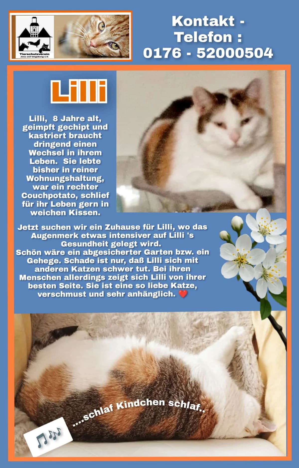 Vermittlungshilfe, female Mixed Breed for adoption at Tierheim Jena, Jena