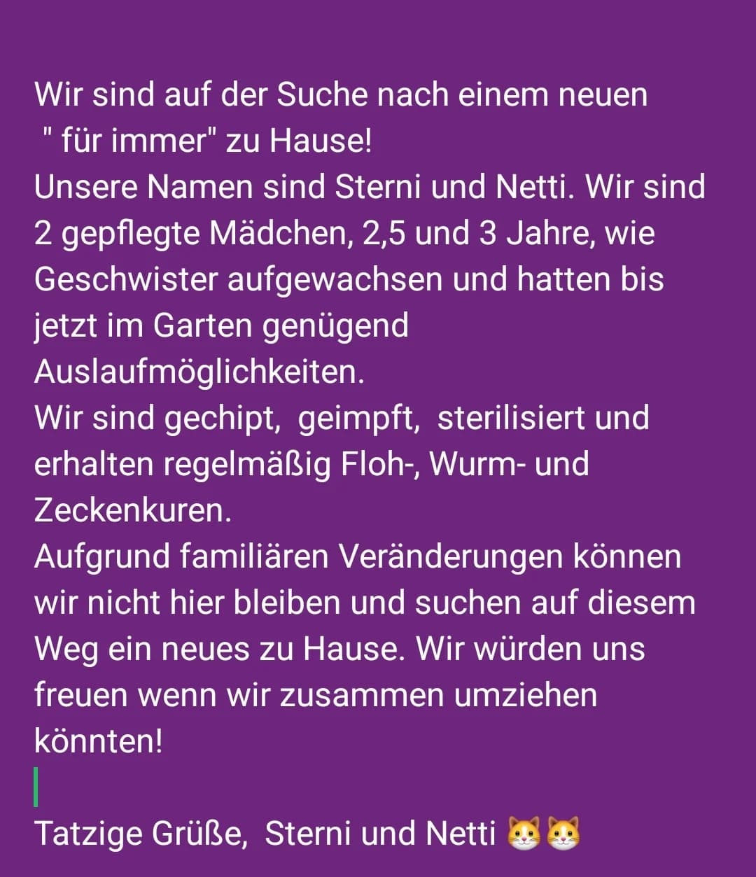 Vermittlungshilfe, male Mixed Breed for adoption at Tierheim Jena, Jena