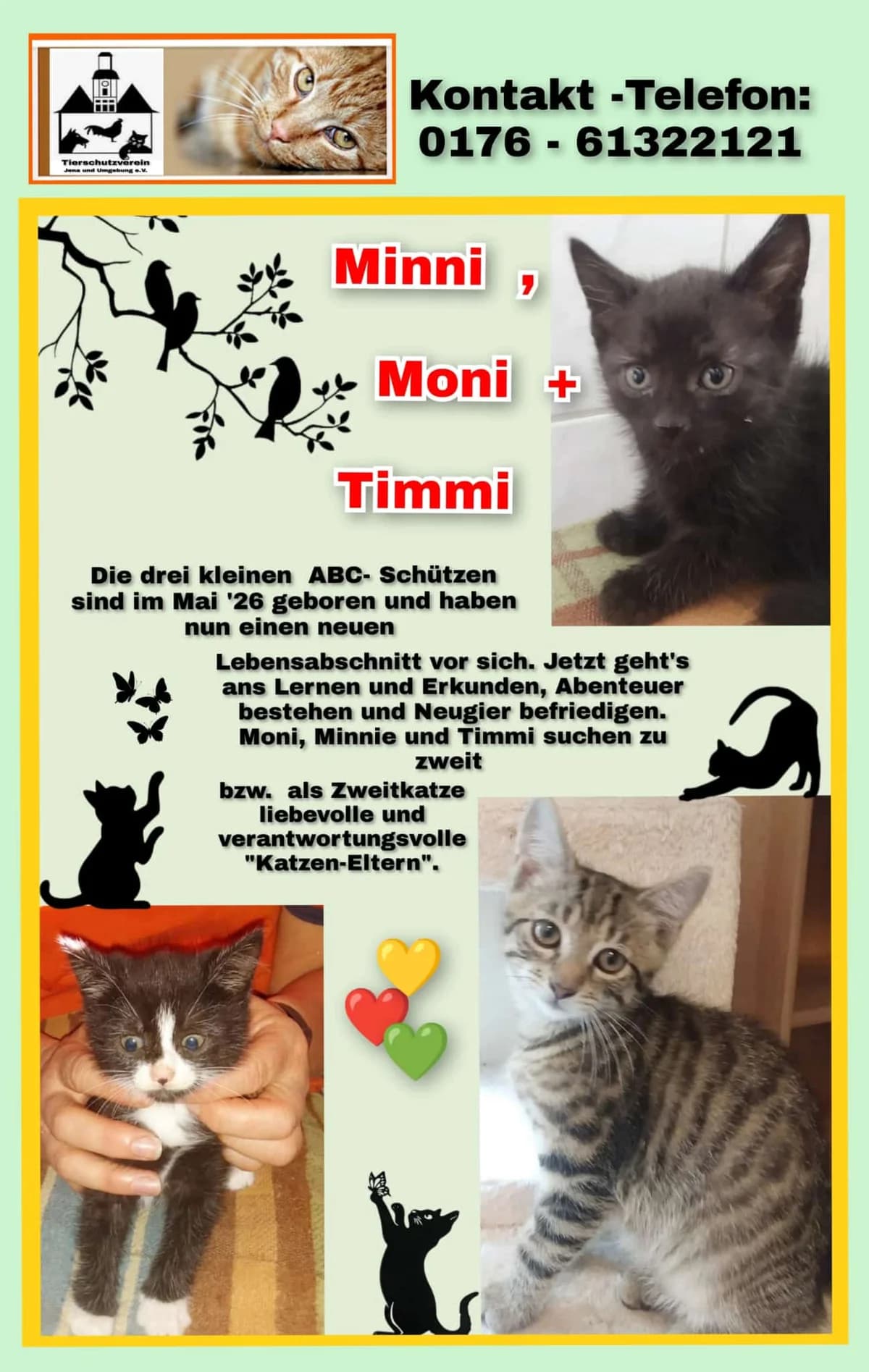Vermittlungshilfe, female Mixed Breed for adoption at Tierheim Jena, Jena