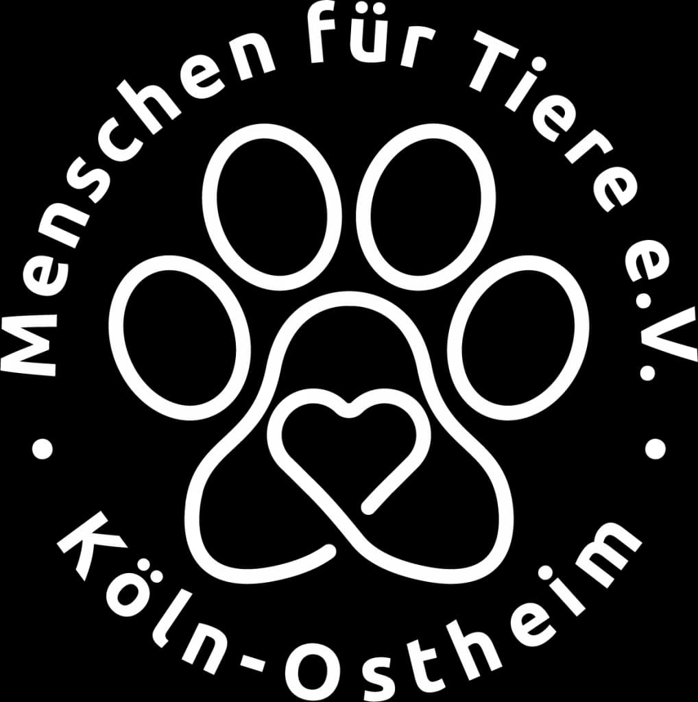 Sommerfest am 30.08.2026, female Mixed Breed for adoption at Tierheim Köln-Ostheim