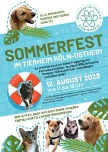 Tierheim-Sommerfest 2023, female Mixed Breed for adoption at Tierheim Köln-Ostheim
