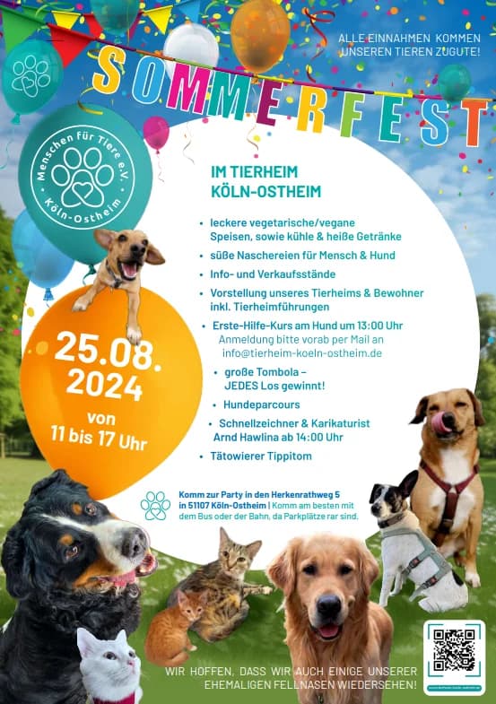 Sommerfest im Tierheim 25.08.2024, female Mixed Breed for adoption at Tierheim Köln-Ostheim